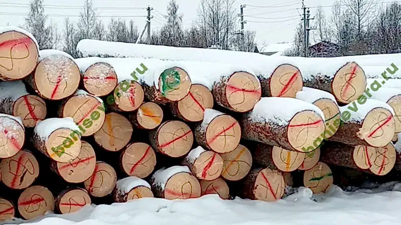 Пиловочник заготовленный зимой